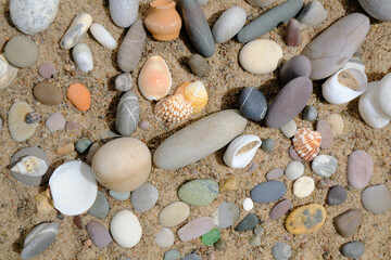 Stones and shells on a sandy beach.