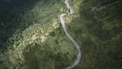 Caminos y bosques de pino en las altas montañas mexicanas del eje neovolcánico transversal 
