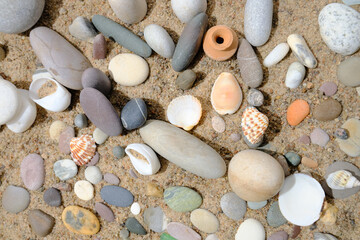 Stones and shells on a sandy beach.