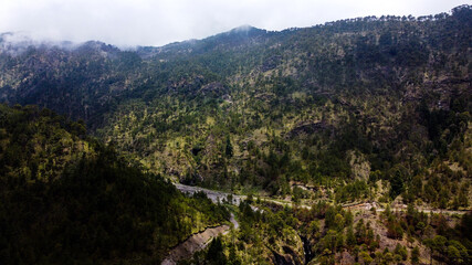 Caminos y bosques de pino en las altas montañas mexicanas del eje neovolcánico transversal 