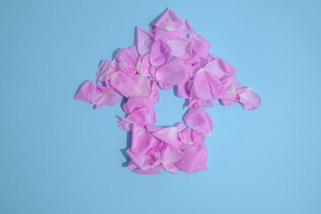 House of rose petals on blue paper.