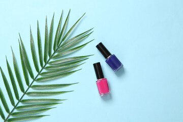 Bottles of nail polish and palm leaf on  blue background. Beauty still life. Top view. Flat lay