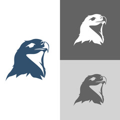 Falcon and Eagle Logo Design Vector