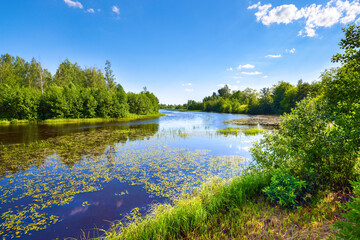 Obraz na płótnie Canvas Rural landscape by the river, nature in summer