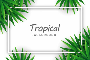 Fototapeta premium Palm leaves background illustration vector