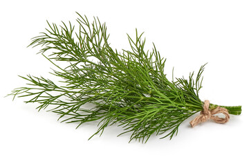 Fresh dill, isolated on white background. High resolution image.