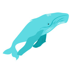 Obraz premium Big blue whale drawing for kids.