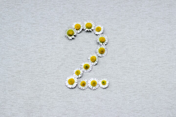 Number 2 of the daisy flower on a gray background
