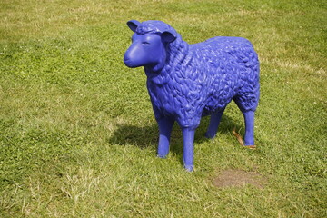 Blue sheep on a green meadow. 