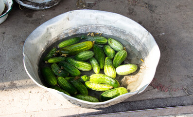 Cucumbers in a large bowl filled with water