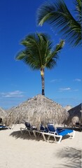 Fototapeta na wymiar Straw umbrellas on the beach overlooking the ocean and blue sky. Punta Cana, Republica Dominicana. 