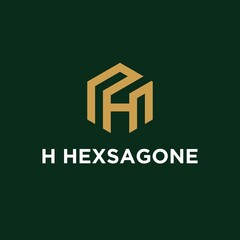 Initials h hexagon logo monogram logo h hexagon logo design concept vector, hexagon logo design template with luxurious gradient color