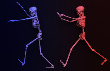 Two fake skeletons in neon light. Halloween decoration, scary theme