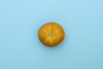 Yellow Tomato on blue background. Minimalism food flat lay. Top view