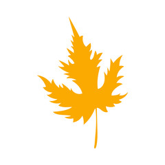 Naklejka na ściany i meble Fall orange tatar maple leaf. Simple autumn leaf, herbal element. Can be used as sign, symbol, icon. Autumn botanical flat plant element, maple. Stock vector illustration isolated on white background.