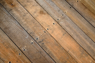Fototapeta na wymiar Repair of wooden floor. Lot of fixed screws in the boadrs top view closeup 