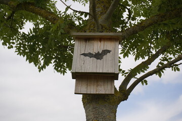 Nesting box for bats (Microchiroptera). Location: Ingolstadt, Bavaria