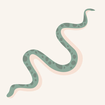 Isolated vector image of a spotted snake. Wild or tame reptile. Light background, flat illustration 