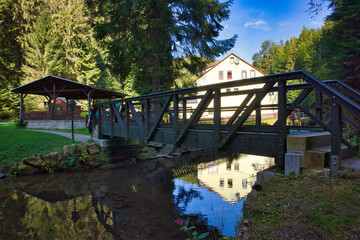 Fototapeta premium Blick über eine Holzbrücke in eine grüne Waldschlucht, Wanderweg durch dichten Nadelwald mit Moos und Felsen, Sächsische Schweiz-Osterzgebirge, Sachsen, Deutschland