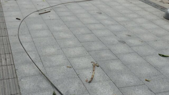 Power lines laying across road after hurricane. The storm caused severe damage