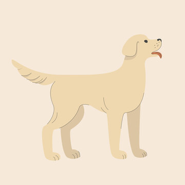 Isolated vector image of a dog on a light background. Pet. Hand drawing in flat style with line. 