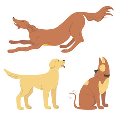 Collection of three vector images of dogs of different breeds. Set of illustrations of pets. Light background, minimalistic flat illustration with lines. 
