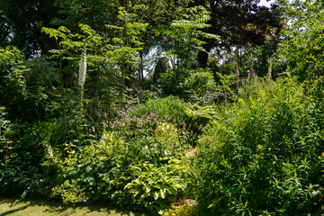 Fototapeta premium Le Jardin de Valériane, Buchy, 76, Normandie, Seine Maritime