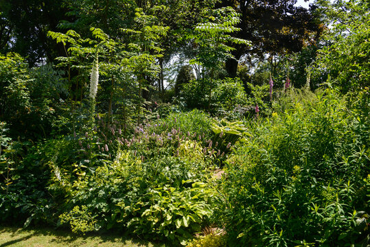 Le Jardin de Val&eacute;riane, Buchy, 76, Normandie, Seine Maritime