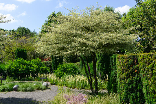 Le Jardin de Val&eacute;riane, Buchy, 76, Normandie, Seine Maritime