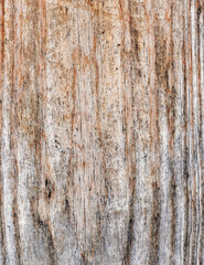 natural wood board closeup, brown pattern background