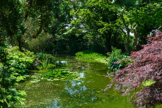 Le Jardin de Val&eacute;riane, Buchy, 76, Normandie, Seine Maritime