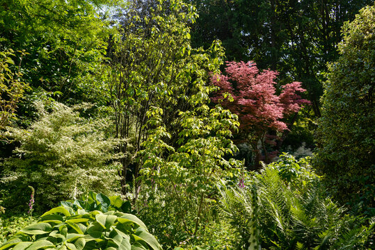 Le Jardin de Val&eacute;riane, Buchy, 76, Normandie, Seine Maritime