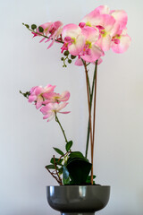 Pink artificial Orchid on show in East Grinstead