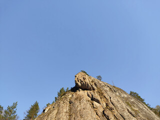 Small solitude mountain surrounded by trees under clear sky