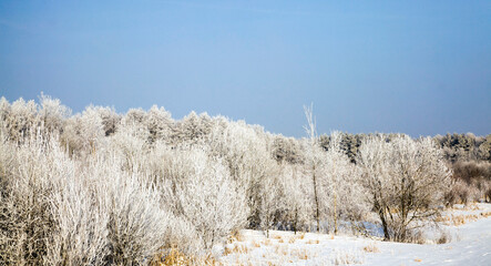 white fresh snow