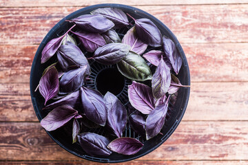 Cooking dried basil, spices at home. Healthy nutrition concept. 