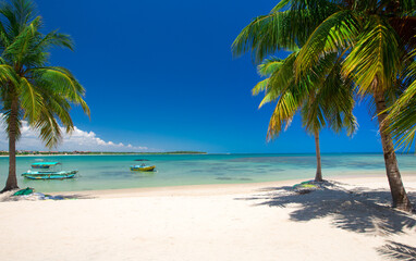 Naklejka na ściany i meble tropical beach in Sri Lanka . Summer holiday and vacation concept for tourism.