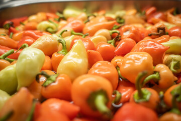 Hot peppers