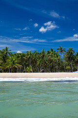 tropical beach in Sri Lanka . Summer holiday and vacation concept for tourism.