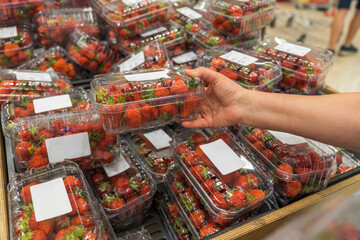 Close up view of female hands taking plastic container with strawberries. Sweden.