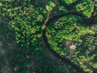 Wild river aerial drone shot