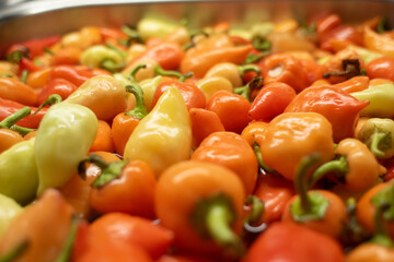 Hot peppers