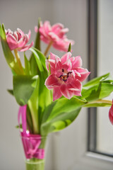 Delicate pink tulips in a vase on the windowsill on a sunny day.