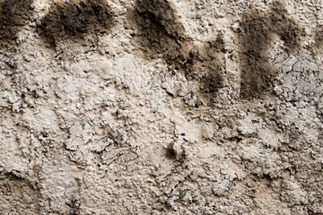 The texture of old gray concrete walls for background, Surface, and pattern of gray cement.
