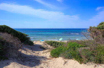 Fototapeta na wymiar Apulia beach: Torre Guaceto Nature Reserve in Italy. View of the coast and the dunes with Mediterranean maquis: a nature sanctuary between the land and the sea.