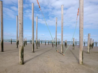 Gardinen Palendorp op het strand van Petten © Holland-PhotostockNL