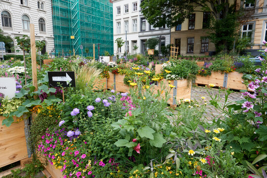 colorful flower garden in luebeck