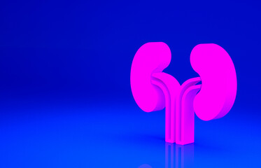 Pink Human kidneys icon isolated on blue background. Minimalism concept. 3d illustration 3D render