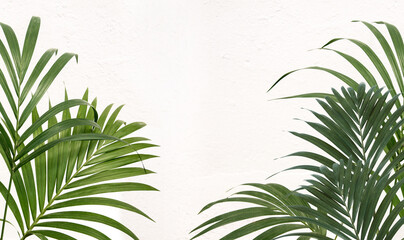 Fresh green tropical palm frond border on a white textured wall with central copyspace in a summer travel concept