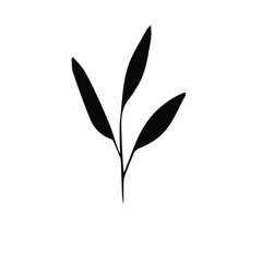 Cute hand drawn set of graphic floral and herbal elements. Doodle vector illustration isolated on white background for wedding design, logo and greeting card.